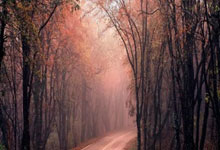 重返亚洲第一!吴艳妮自信心爆棚,霸气发声:对手们都放马过来.