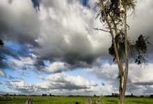 问鼎娱乐:尴尬,莱斯特城是第一支英超主场7连败且0进球的球队.