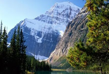 问鼎娱乐：[CBA]战胜辽宁队 浙江方兴渡收获四连胜.