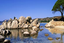 国足这回可不是装样子 伊万大力提拔年轻人很有魄力.